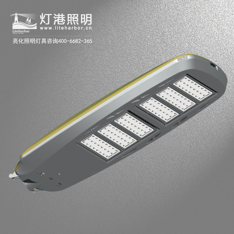 DG5107-LED路燈 戶外大功率太陽能智慧道路亮化led路燈專業(yè)廠家